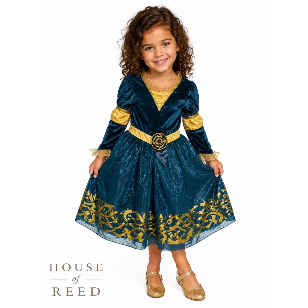 Disney Princess Merida Brave Costume Dress Teal Gold Girls Size 3 Toddler